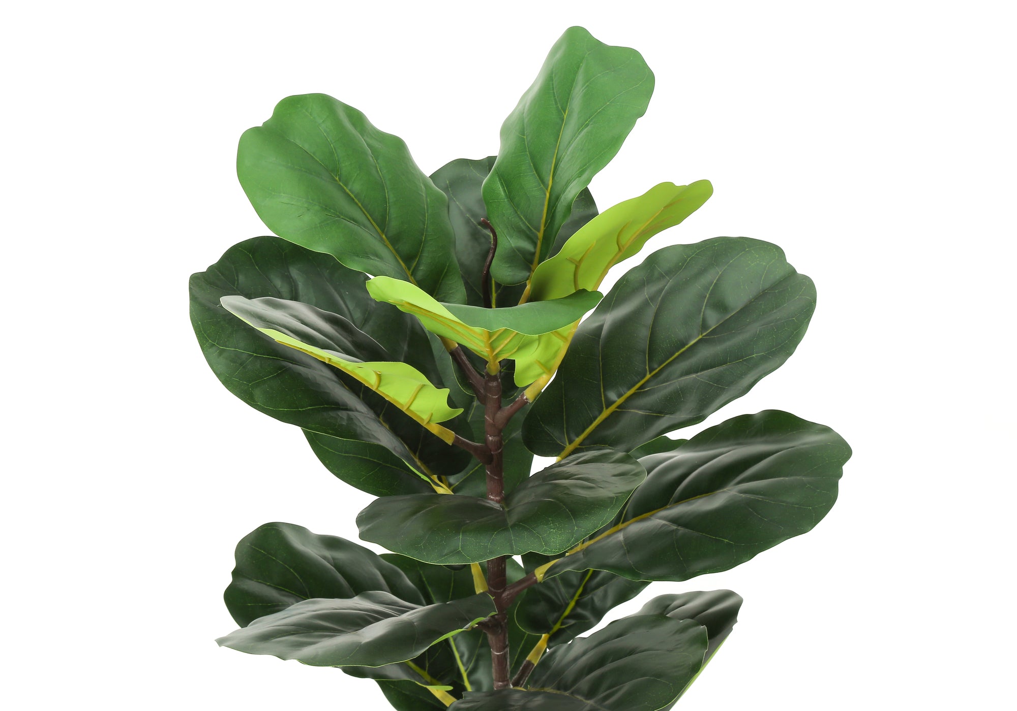 Close-up of the broad green leaves of an artificial fiddle leaf fig bush against a white background.