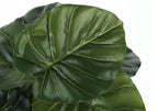A close-up showing the detailed texture and veins of the green leaves on an artificial Medium Alocasia plant.