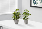 Two artificial baby rubber plants in speckled grey pots sitting on a white table near a window with blinds.