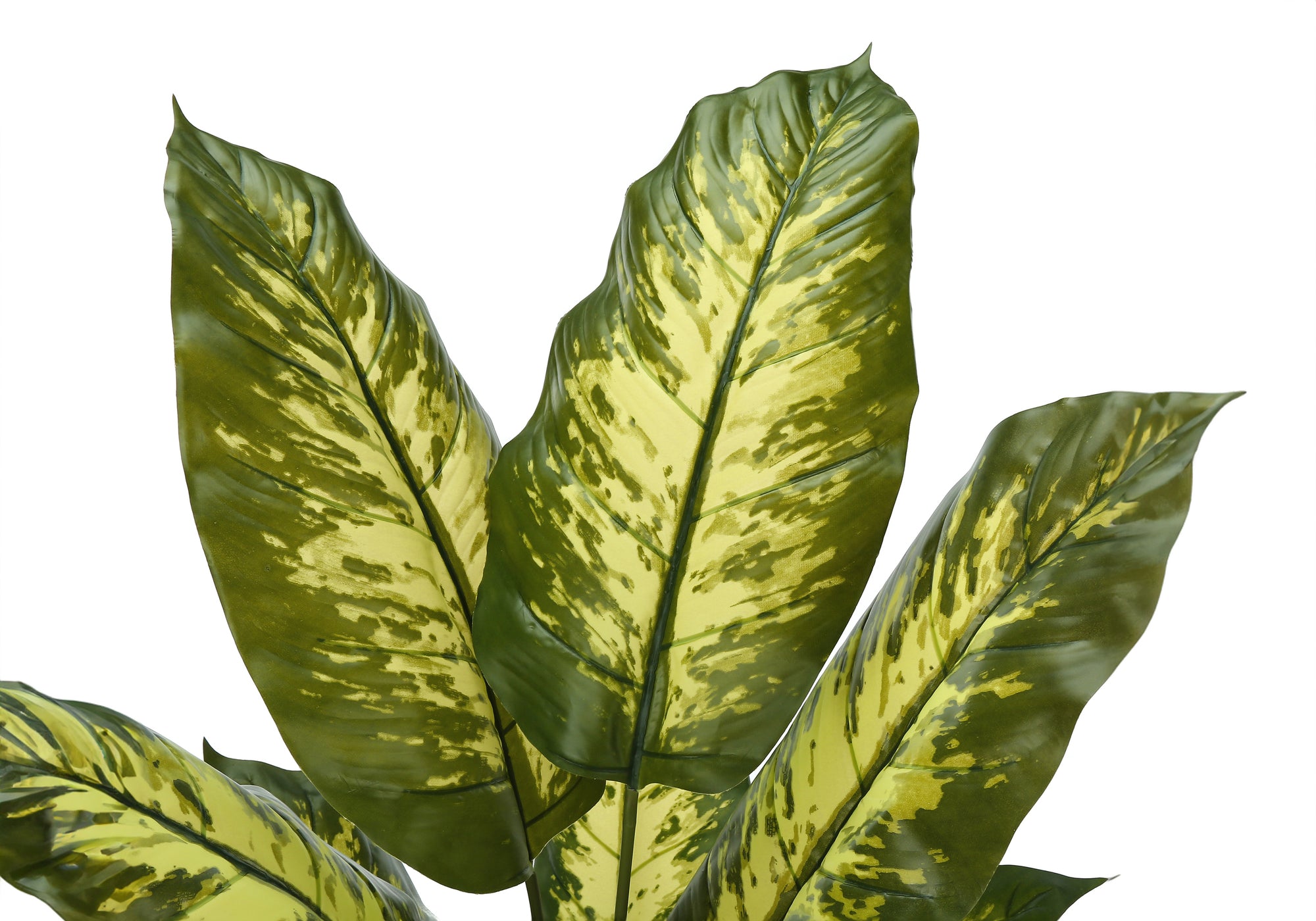 Close-up of large, variegated artificial Dieffenbachia leaves with green and cream-colored patterns.