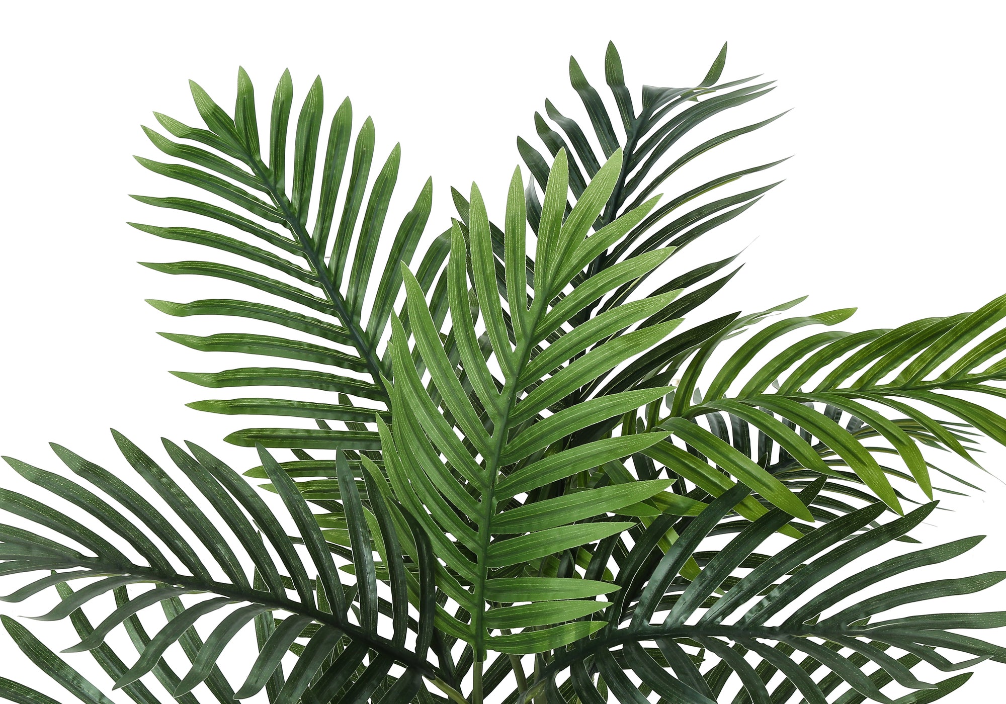 Close-up of the lush green fronds of an artificial parlor palm plant against a white background.