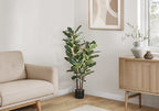 A large artificial variegated rubber plant in a black pot stands in the corner of a bright, modern living room.