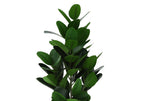 Close-up of the thick, green leaves of an artificial Medium Garcinia Tree against a white background.