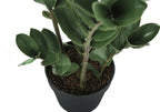 Top-down view of an artificial ZZ plant with dark green, structured leaves in a simple black pot with brown soil.