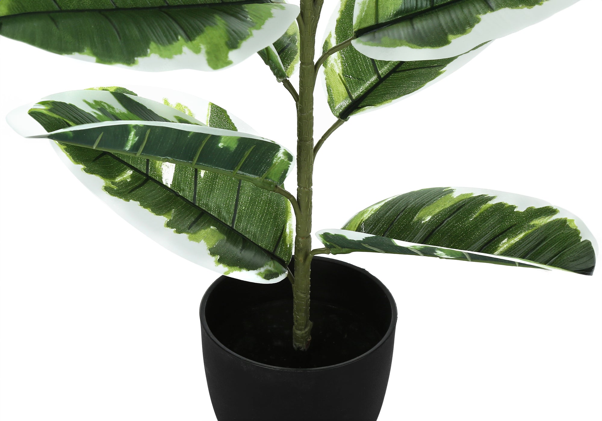Artificial variegated rubber tree with deep green and creamy-edged leaves in a simple black pot.