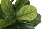 Close-up view of the lush, green, veined leaves of an artificial fiddle leaf fig bush against a white background.