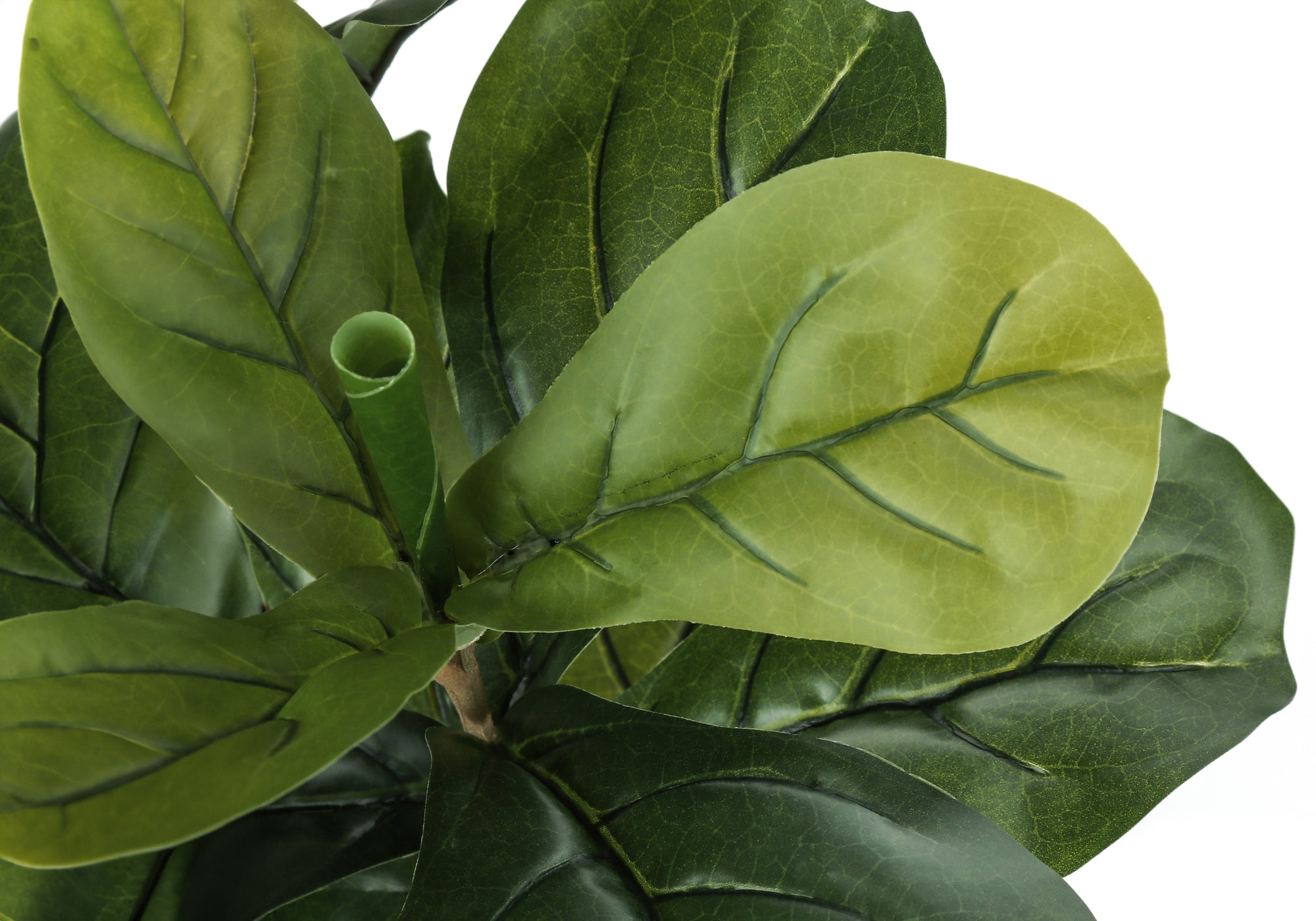 Close-up view of the lush, green, veined leaves of an artificial fiddle leaf fig bush against a white background.