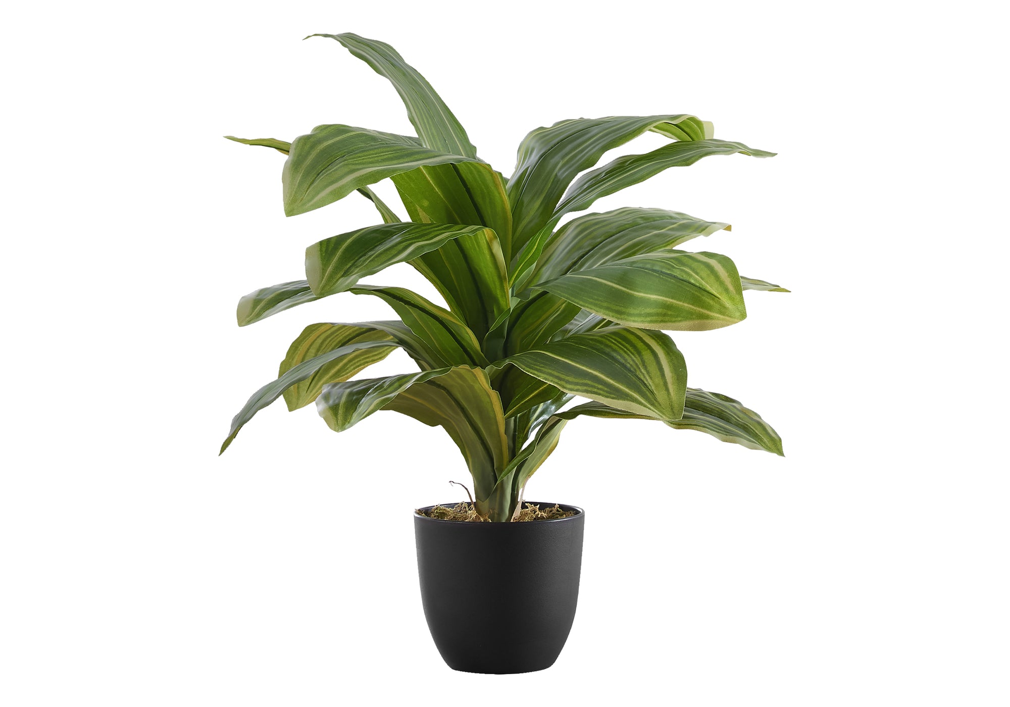 Small faux Dracaena Lemon Lime plant with variegated green and yellow leaves in a simple black pot.
