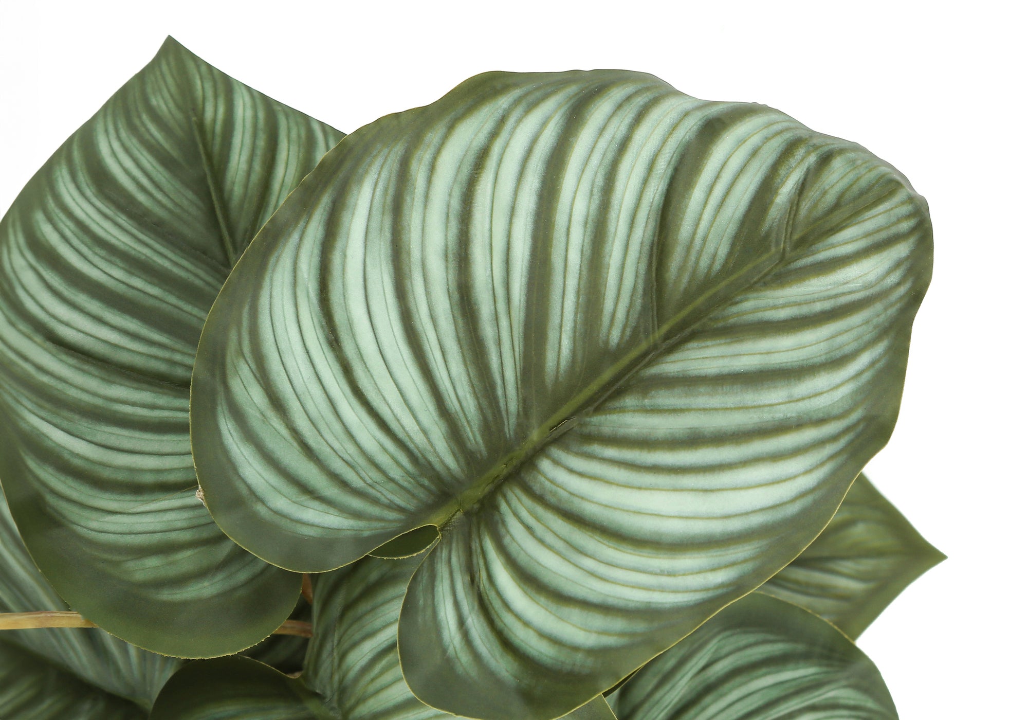 Close-up of artificial Calathea leaves featuring prominent, light-colored veins against a dark green background.