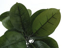 Close-up of the dark green, oval-shaped leaves of an artificial rubber tree plant against a white background.