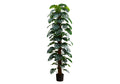 Tall artificial Monstera plant with numerous split leaves climbing a central moss pole in a black pot.
