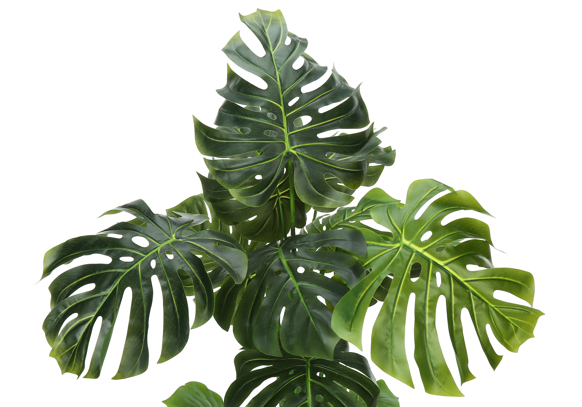 Close-up of the large, split green leaves of an artificial Monstera plant against a white background.