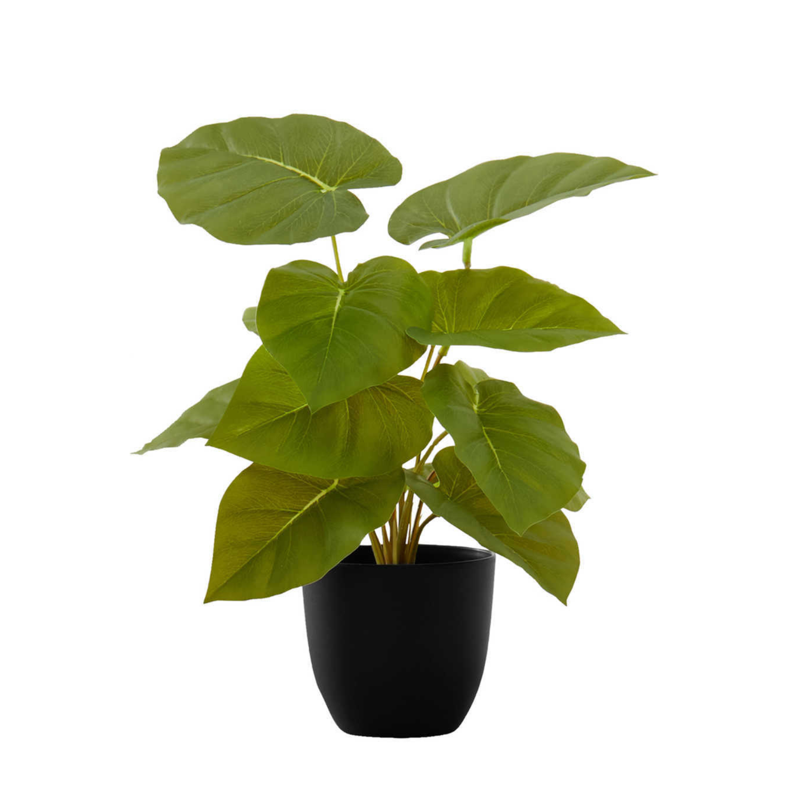 A small artificial plant with broad, heart-shaped green leaves potted in a simple matte black container.