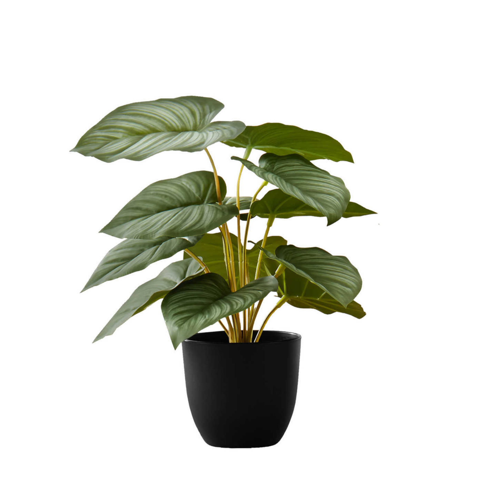 A small artificial plant with large, ribbed green leaves in a simple black pot against a white background.