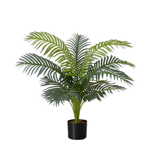 Artificial Large Cat Palm with wide, green fronds in a simple black pot against a plain white background.
