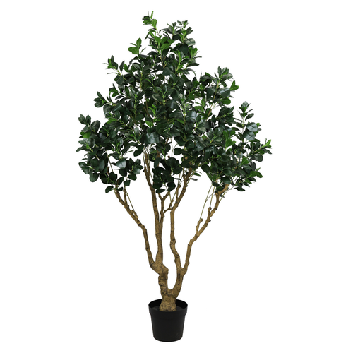 Artificial Ficus Moclame tree with dense green foliage and multiple trunks in a black pot.