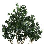 A tall artificial Ficus Moclame tree with dense, dark green foliage and multiple woody stems against a white background.