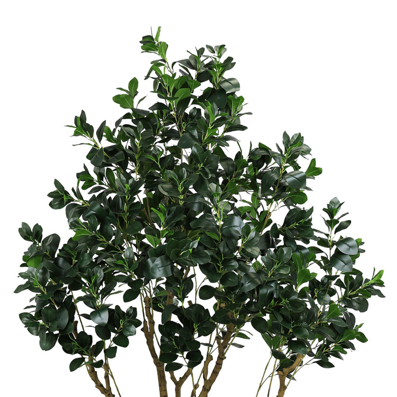 A tall artificial Ficus Moclame tree with dense, dark green foliage and multiple woody stems against a white background.