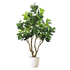 A tall artificial fiddle leaf fig tree with a multi-stemmed trunk in a simple white pot against a white background.