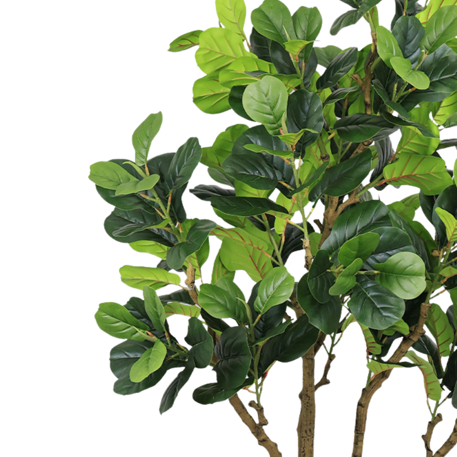 Close-up of the lush green leaves and textured brown branches of an artificial Fiddle Leaf Fig tree.
