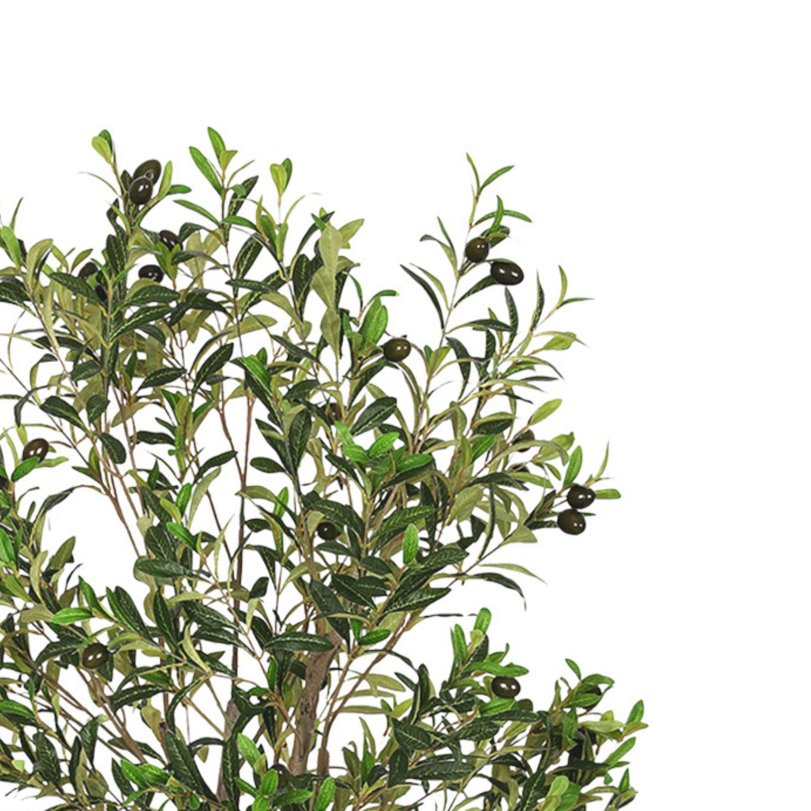 Close-up of an artificial olive tree with green leaves and small dark olives against a white background.