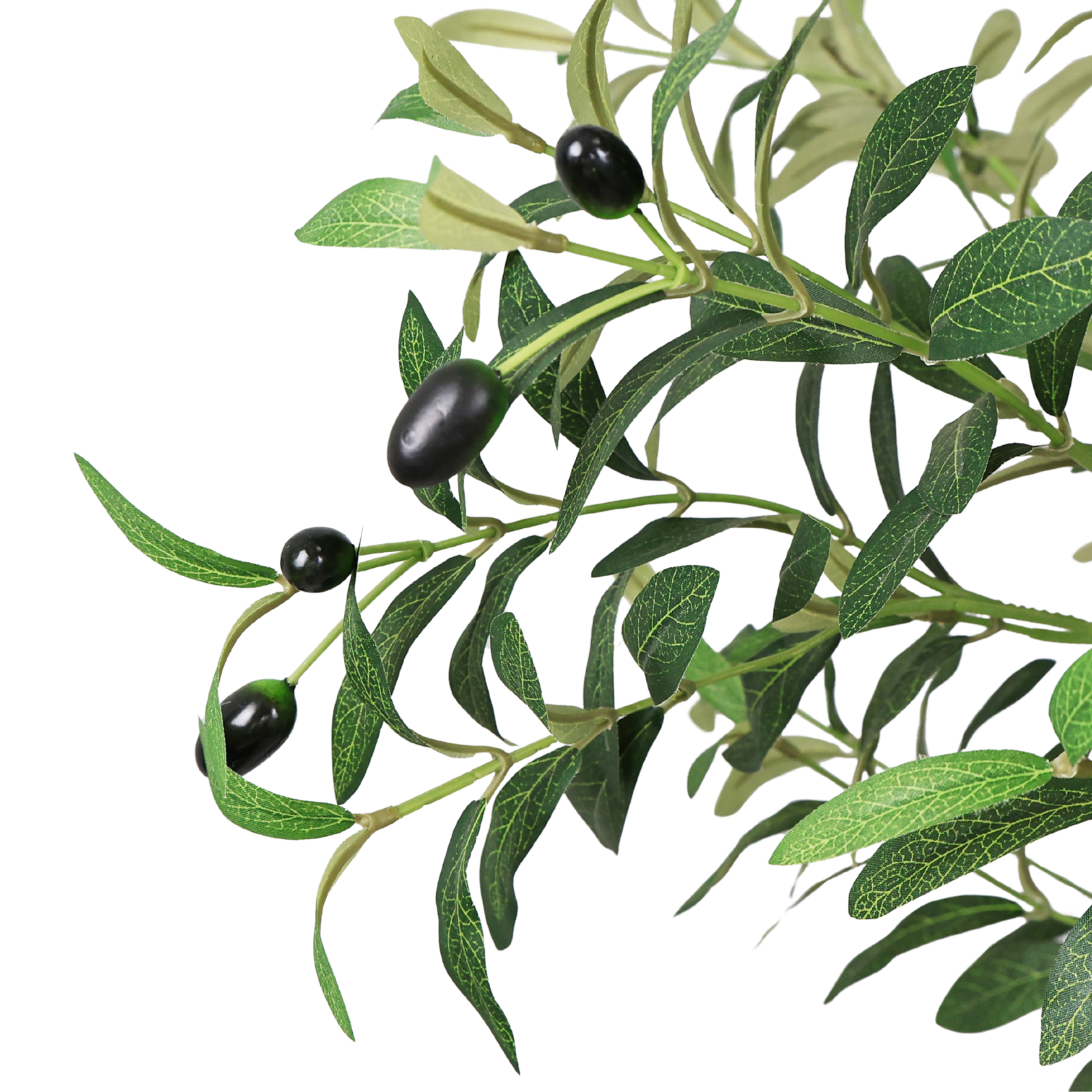 Close-up of artificial olive tree branches with green leaves and dark olives against a white background.