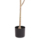 Close-up of the natural-style trunk and black nursery pot on a faux indoor plant