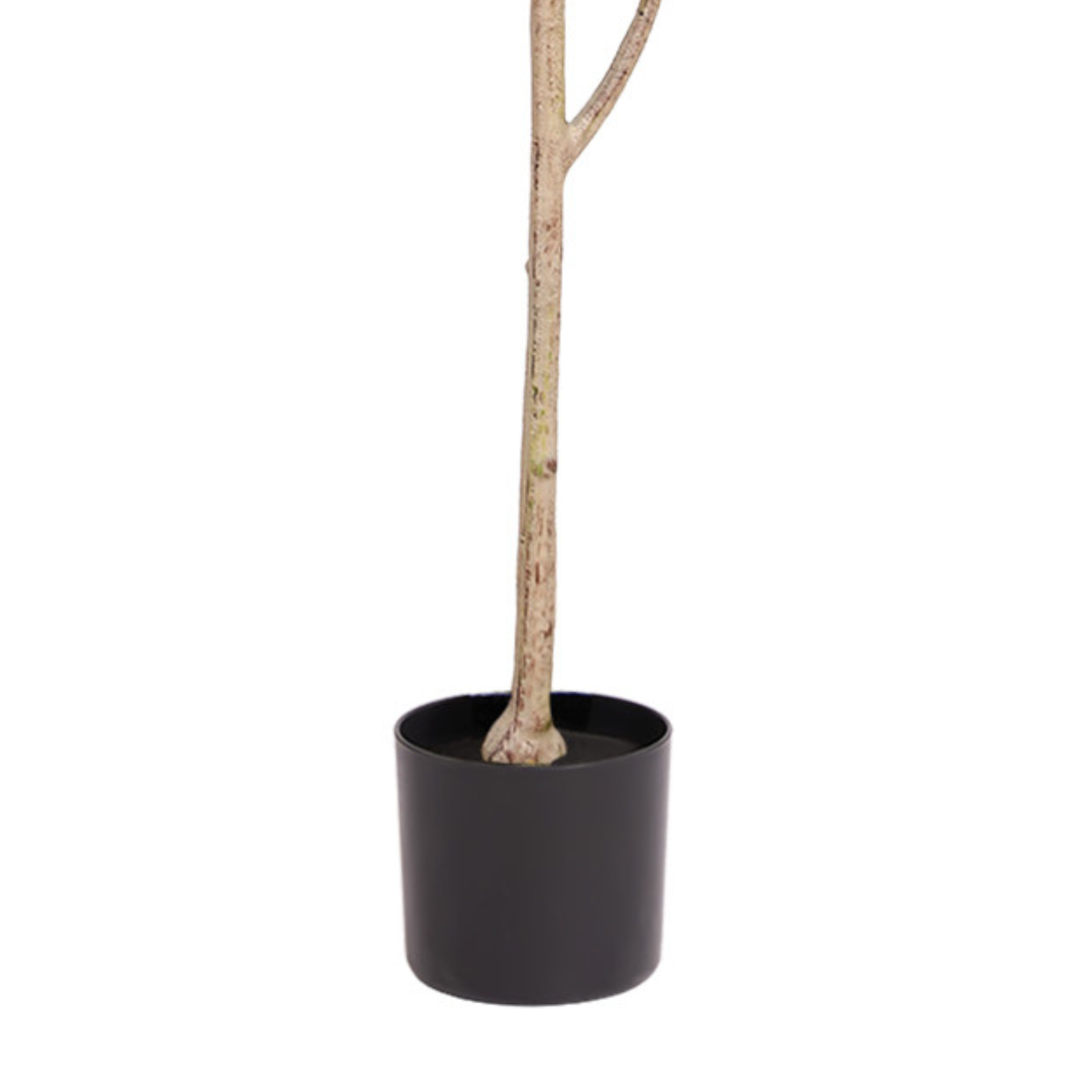 Close-up of the natural-style trunk and black nursery pot on a faux indoor plant