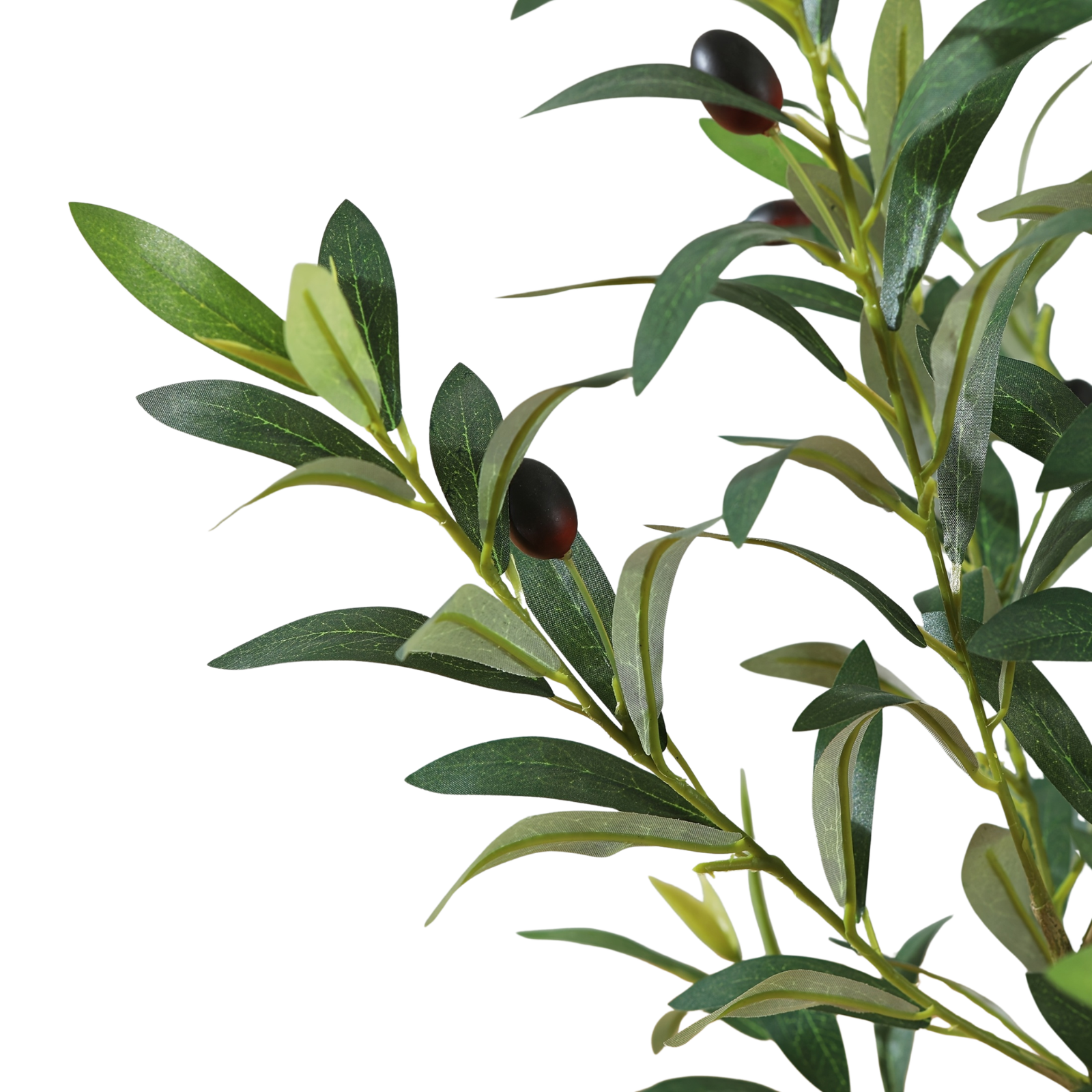 Close-up of the green leaves and dark olives on an artificial olive tree branch against a white background.