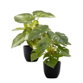 Two artificial potted plants with green leaves in simple black pots against a white background.