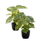 Two artificial potted plants with green leaves in simple black pots against a white background.