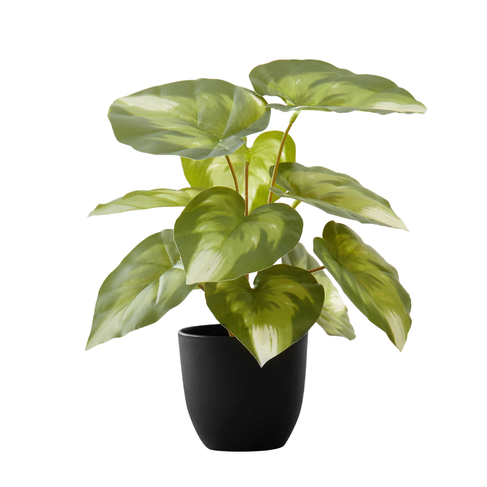 A small artificial plant with broad, heart-shaped green leaves in a simple black pot against a white background.