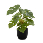 A small artificial monstera plant with split green leaves potted in a simple matte black container.