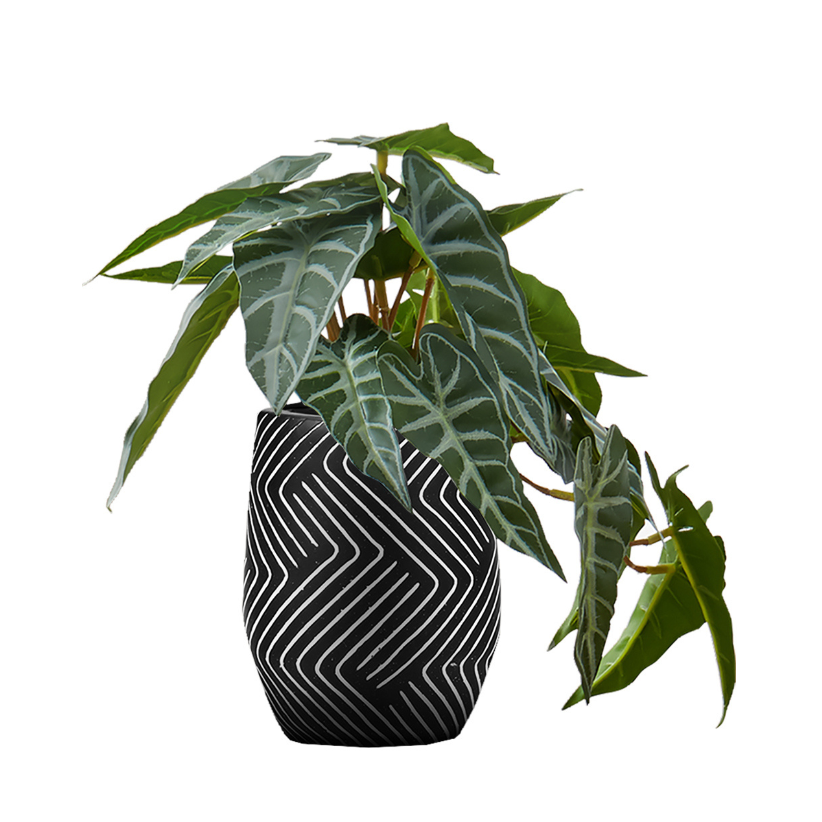 A small artificial Alocasia plant with patterned green leaves in a black and white geometric patterned pot.