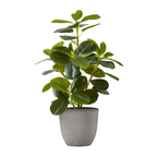 Small artificial baby rubber plant with glossy green leaves in a speckled grey pot against a white background.