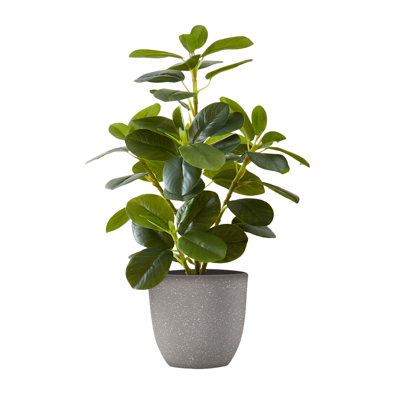 Small artificial baby rubber plant with glossy green leaves in a speckled grey pot against a white background.