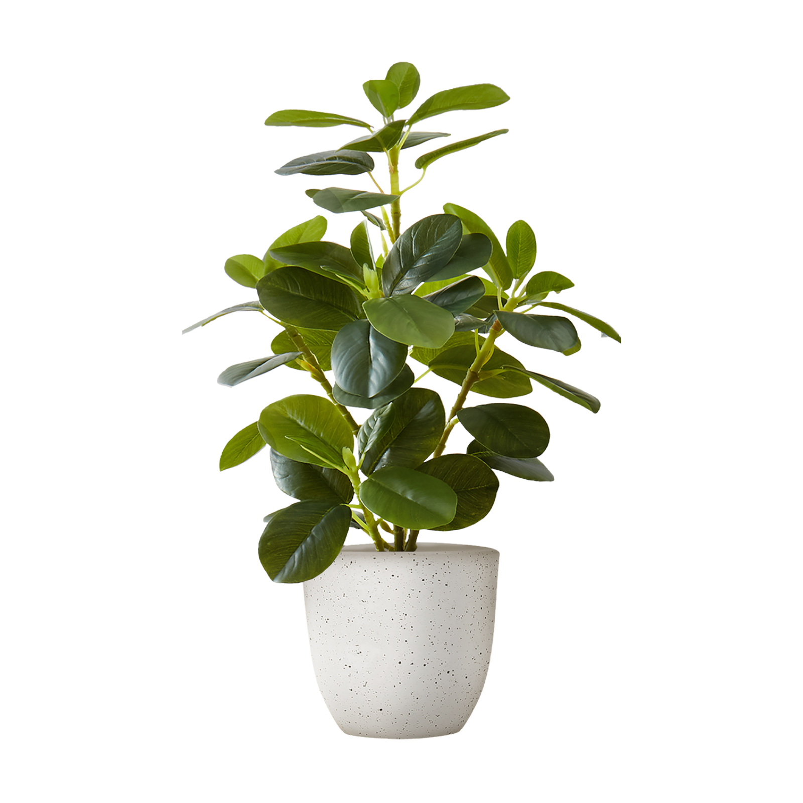 A small artificial rubber plant with glossy green leaves in a speckled white pot against a white background.