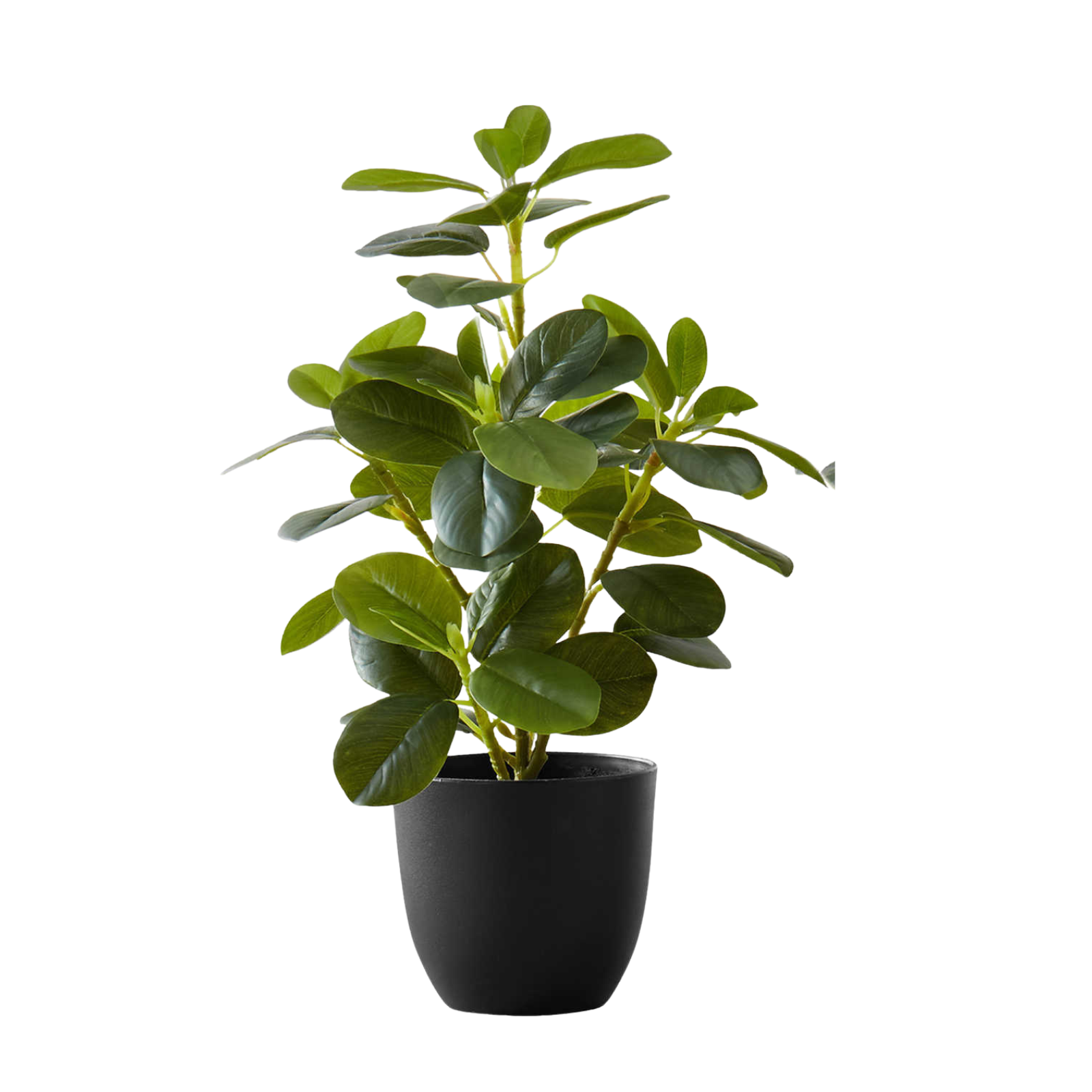A small artificial baby rubber plant with lush green leaves potted in a simple black container.