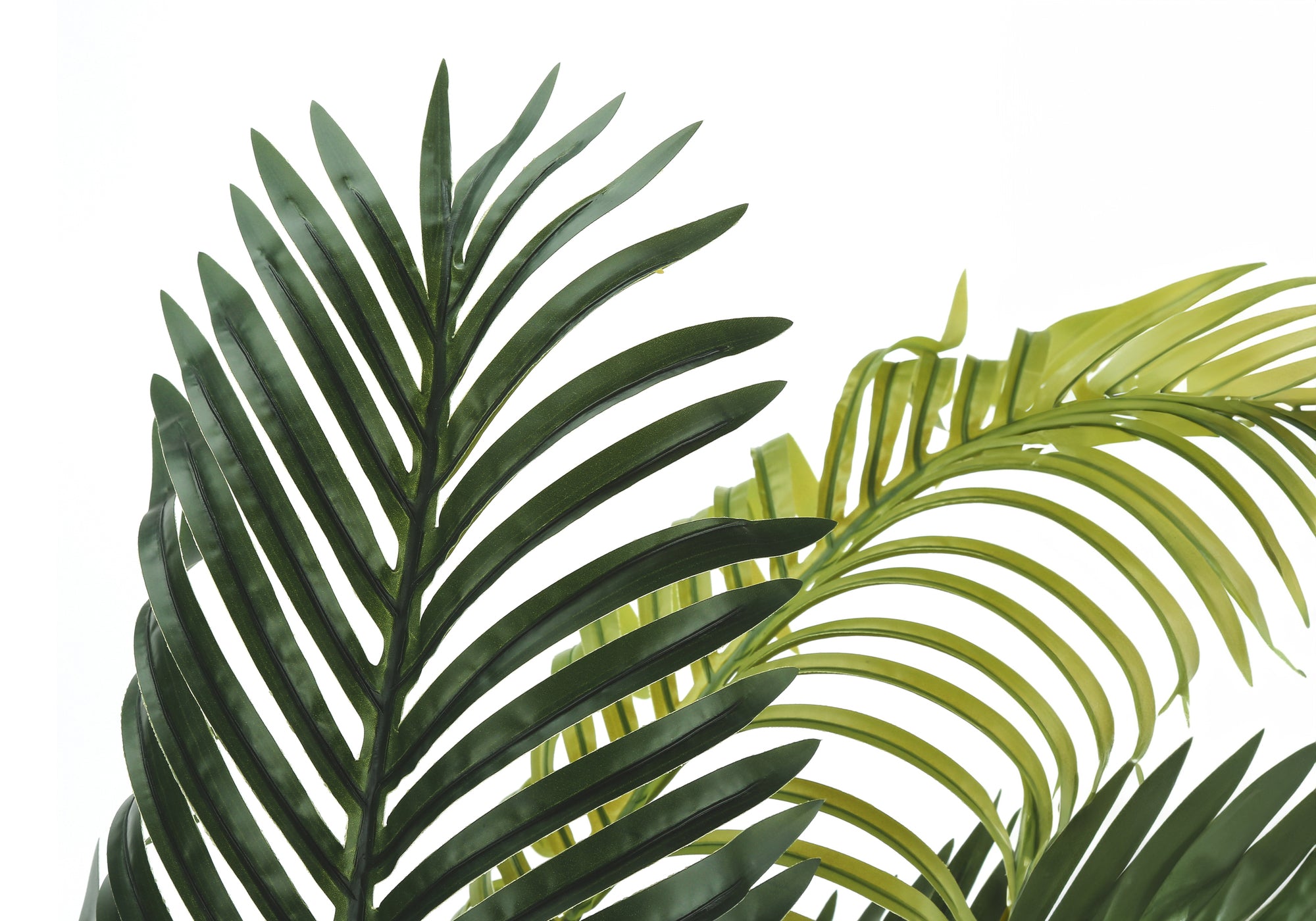 Close-up of dark and light green artificial palm fronds with feathered leaves against a white background.