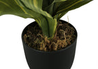 Close-up of a faux Dracaena plant with green and yellow striped leaves potted in a simple black container with moss.