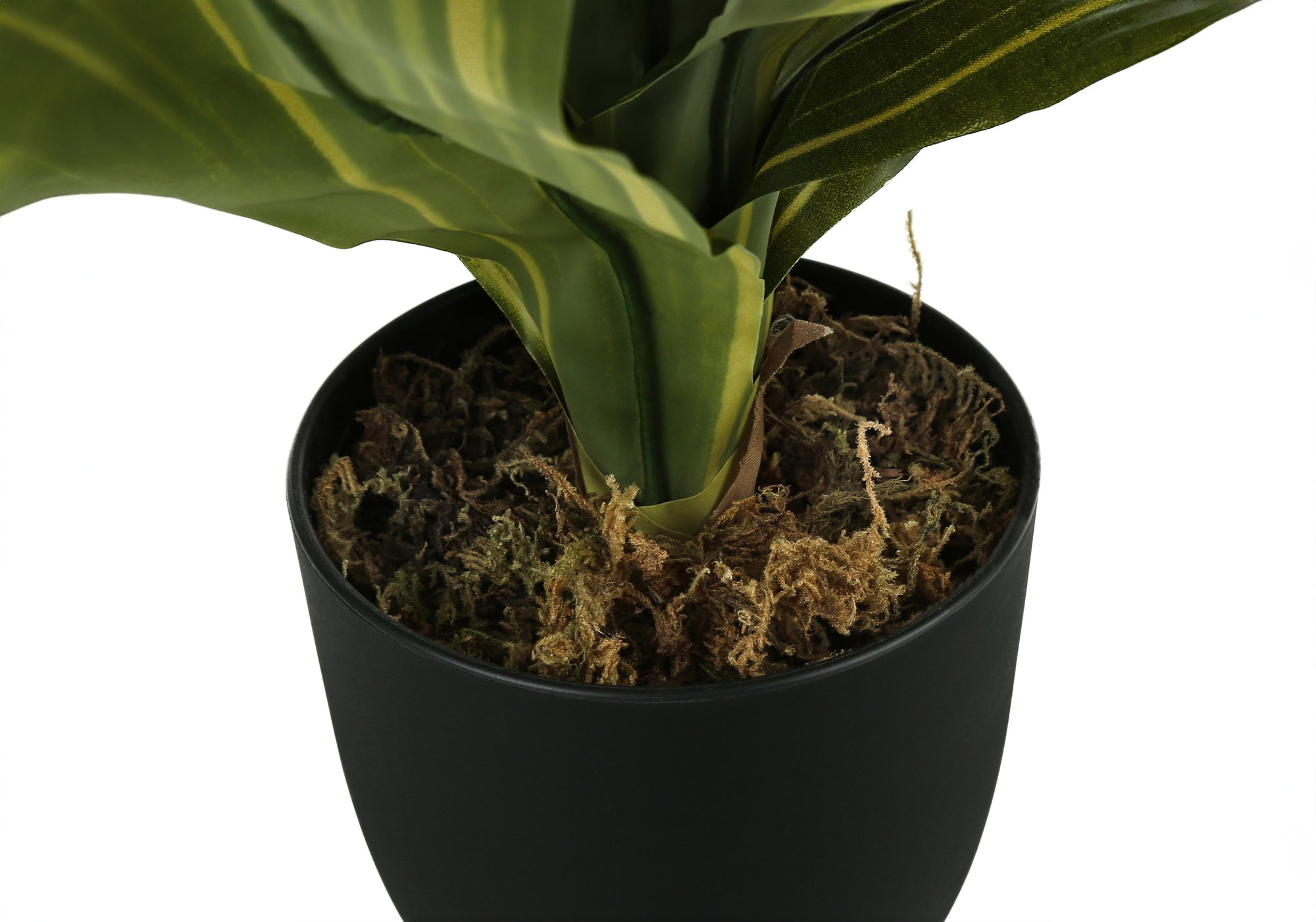 Close-up of a faux Dracaena plant with green and yellow striped leaves potted in a simple black container with moss.