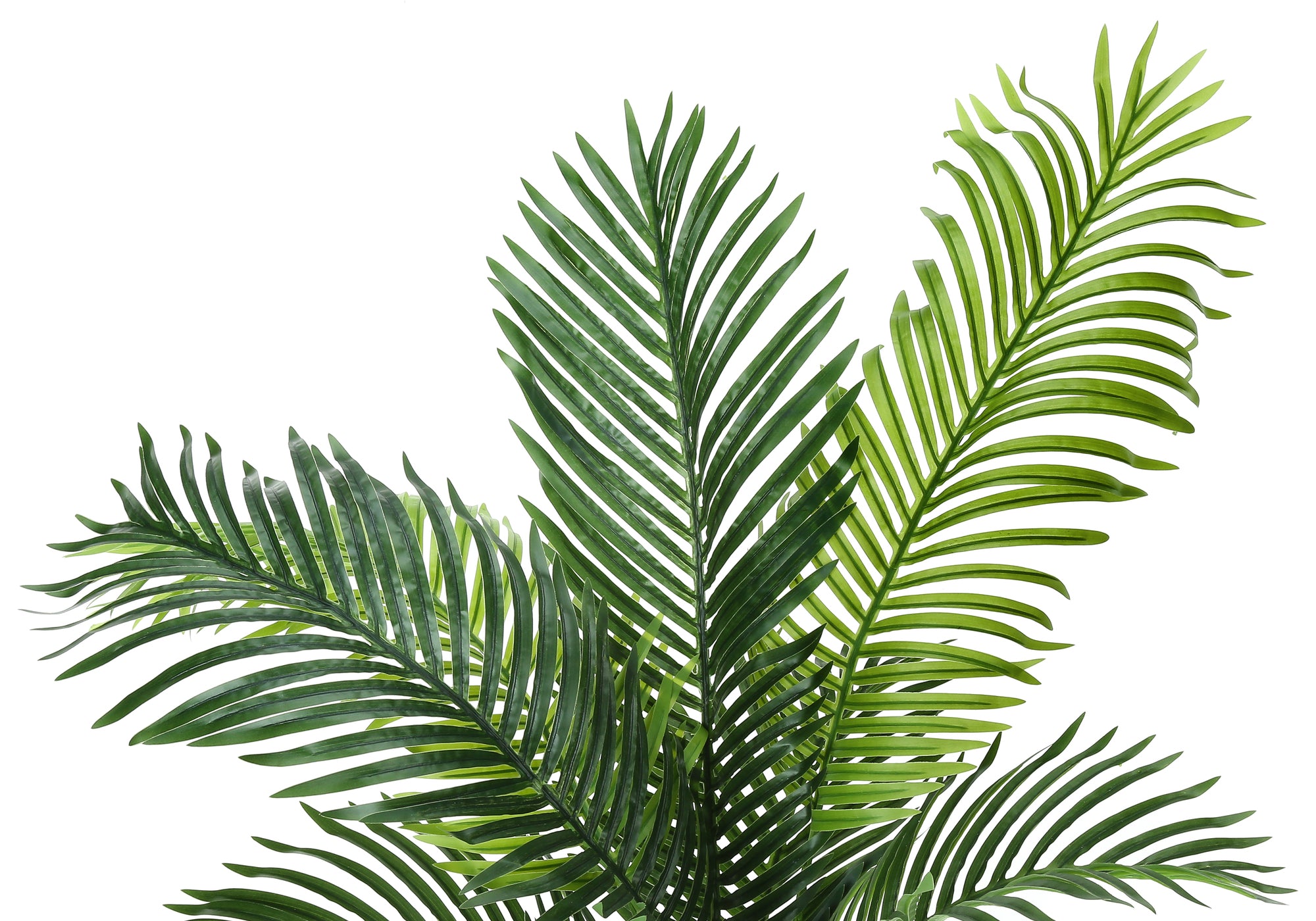 Close-up of the vibrant green, feathered fronds of an artificial Majesty Palm tree against a white background.