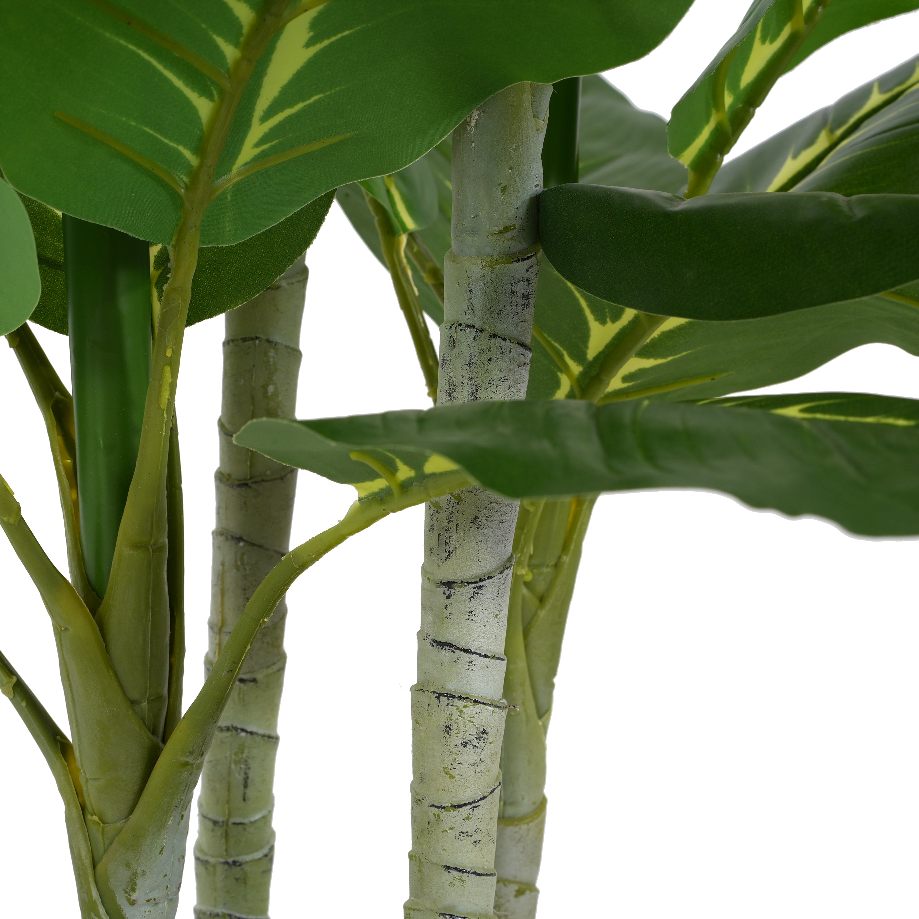 Close-up of the textured, light-colored stalks and broad green leaves of an artificial Dieffenbachia plant.