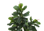 Close-up of an artificial Fiddle Leaf Fig tree featuring large, glossy green leaves and reddish new growth tips.