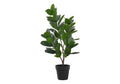 An artificial medium Garcinia tree with broad green leaves in a simple black pot against a white background.