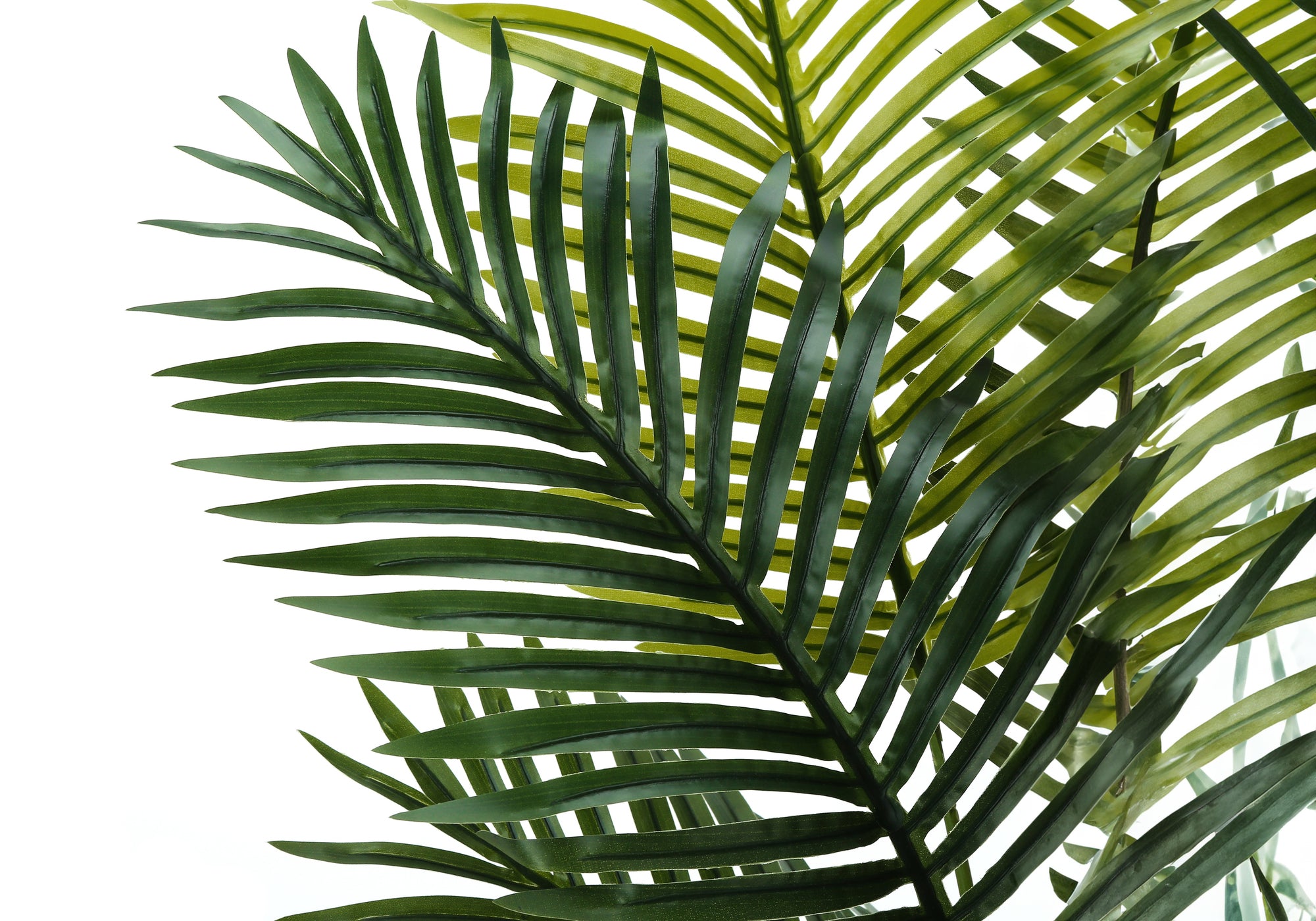 Close-up of the lush, feathered green fronds of an artificial Majesty Palm tree against a white background.