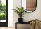 Artificial Medium Areca Palm in a black pot on a black console table next to a beige throw blanket.