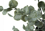 Close-up of artificial eucalyptus plant branches with frosted, pastel green rounded leaves against white background.