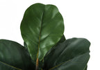 Close-up of the large, glossy green leaves of an artificial fiddle leaf fig plant against a white background.