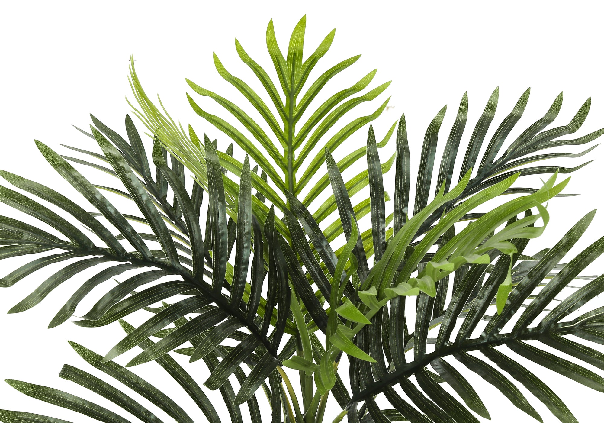 Close-up of the lush green fronds of an artificial areca palm plant against a white background.